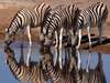 Namibia Gallery10