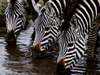 Tanzania Gallery2