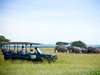 Tanzania Gallery7