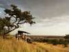 Tanzania Gallery16