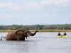 Zambia Gallery2