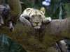 Zambia Gallery9