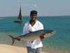 Mozambique Gallery10