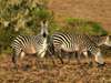 Malawi Gallery12