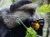 Rwanda Gallery2