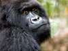 Rwanda Gallery4