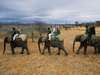 South Africa Family Holiday Gallery9