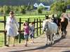 South Africa Family Holiday Gallery11