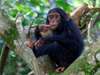 Uganda Gallery1