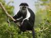 Uganda Gallery5