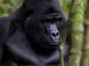 Uganda Gallery7