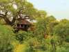 Scenic Tanzania Sky Safari
