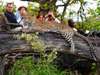 Kruger Luxury Gallery9
