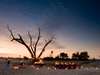 Botswana Luxury Gallery2
