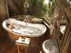 Botswana Honeymoon Gallery6