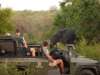 Tanda Tula Safari Club