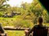 Tanda Tula Safari Club