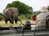 Kruger & Vic Falls Value Safari
