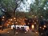 Wine & Dine in Madikwe & Mauritius