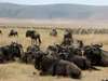 Ngorongoro Crater Gallery1