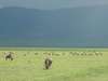 Ngorongoro Crater Gallery3