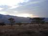 Ngorongoro Crater Gallery5