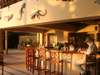 Chobe Safari Lodge
