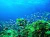 Quirimbas Archipelago Gallery 5