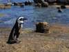 Cape Town Gallery 5