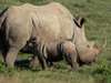 Eastern Cape Gallery 2
