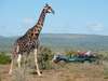 Eastern Cape Gallery 7