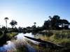 Thrilling Botswana Safari - Traditional canoe safari