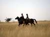 Several Kalahari camps offer horseback safaris, an exhilarating way to view big game close up.