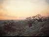 Remote & virtually unvisited Kubu Island in the Makgadikgadi Pans is one of Botswana's most evocative & haunting spots.