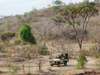South Central Tanzania - game drive