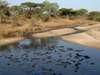 South Central Tanzania - dry season
