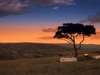 Luxury Migration, Lake & Crater Safari