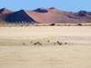 Diverse Namibia