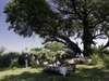 Luxury Botswana Wilderness Honeymoon