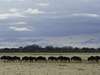 Zambia & Zimbabwe Wilderness Luxury Safari