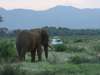 Comprehensive Kenya & Tanzania Expedition