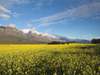 Cape Explorer Eco Holiday